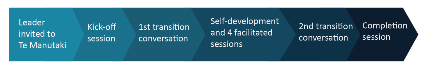 Chevron process diagram: Leader invited to Te Manutaki, Kick-off session, 1st transition conversation, Self-development and 4 facilitated session, 2nd transition conversation, Completion session. 