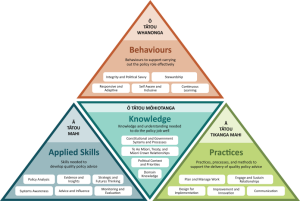 Policy skills framework