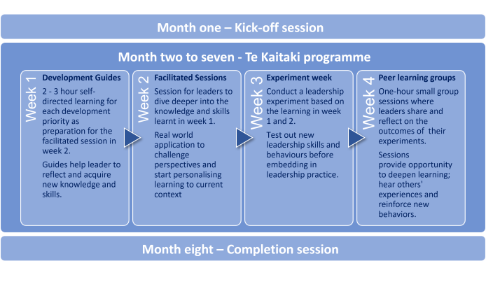 Programme structure - Month one - kick off session, Month two to seven is broken down further into four boxes with headings: Week 1 Development Guides, Week 2 Facilitated sessions, Week 3 Experiment week and Week 4 Peer learning groups. Month eight Completion session
