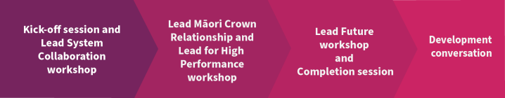 Kick off session and Lead System Collaboration, Lead Māori Crown Relationship and Lead for High Performance Workshop, Completion session, Development conversation.