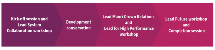Kick off session and Lead System Collaboraiton workshop, Development conversation, Lead Māori Crown Relations and Lead for High Performance, Lead Future workshop and Completion session